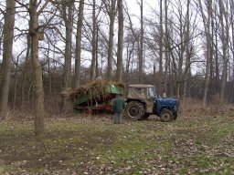 Arbeitsdienst 26.01.2008